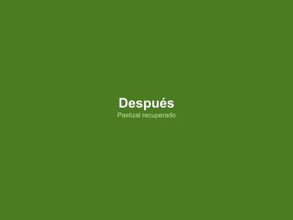 Después