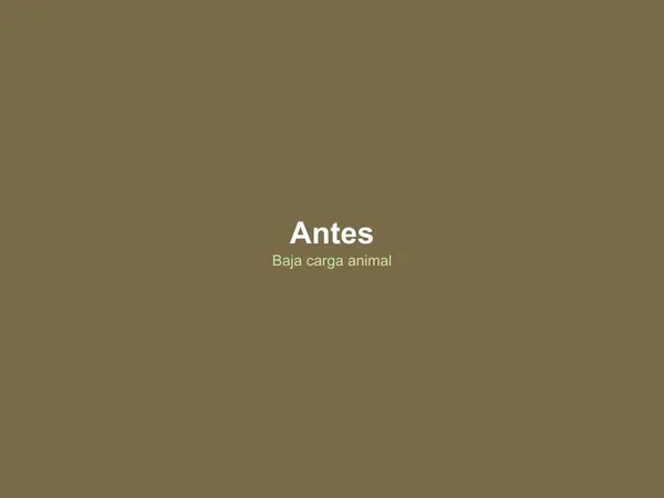 Antes